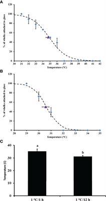 Ocean Warming and Heat Stress Impact Molecules of Keystone Significance in a Predatory Marine Gastropod